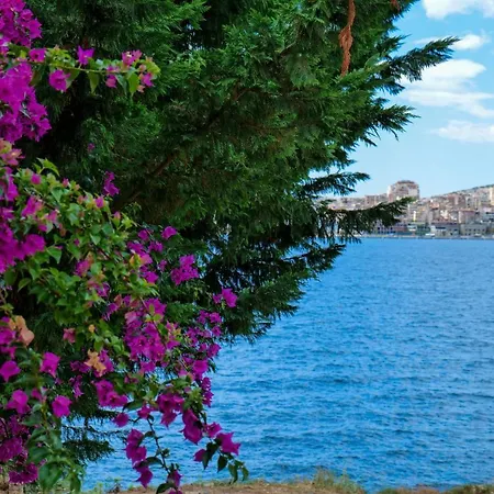 ホテル Havana Sarandë